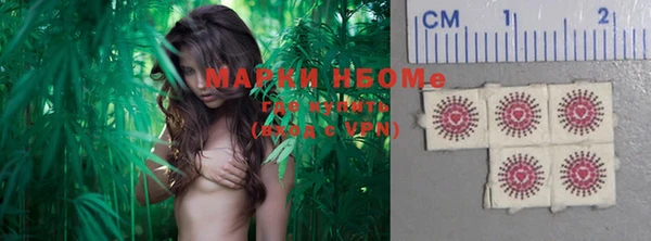 мдпв Елабуга