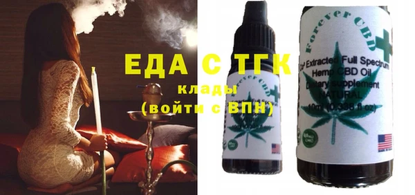 мдпв Елабуга