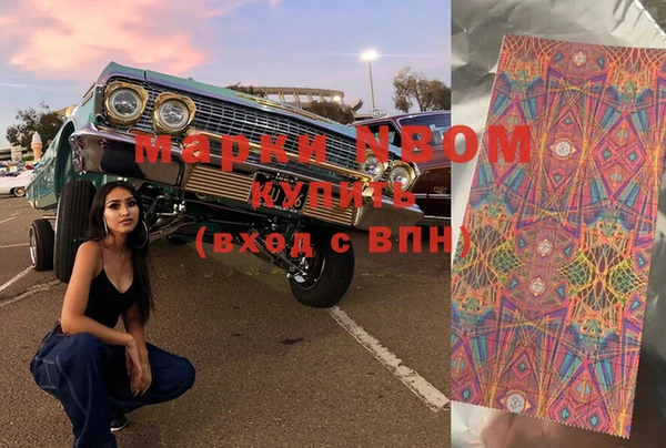 мдпв Елабуга