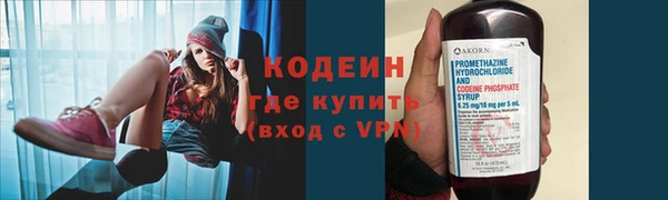 мдпв Елабуга