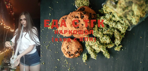 мдпв Елабуга