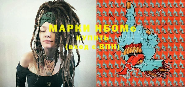 мдпв Елабуга