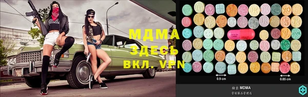мдпв Елабуга