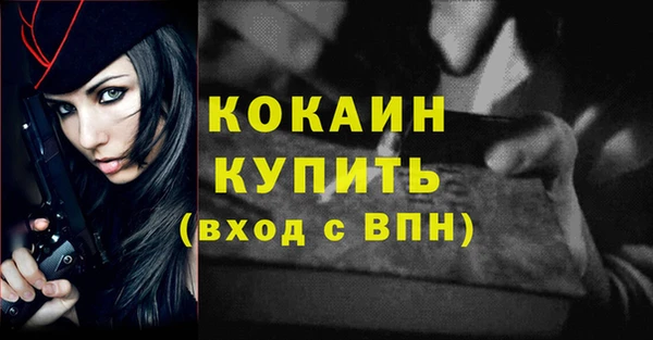 мдпв Елабуга