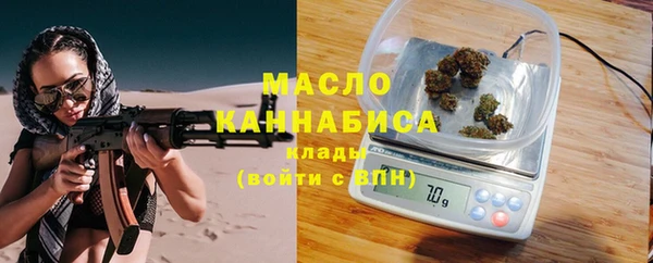 мдпв Елабуга