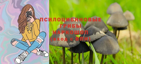 мдпв Елабуга