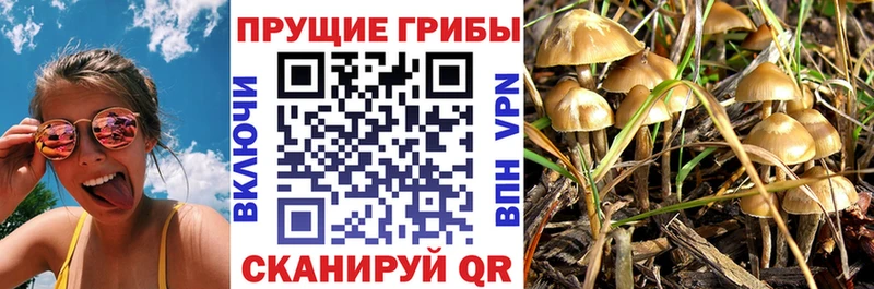 Псилоцибиновые грибы мицелий  Купить где  Коркино 